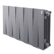 Биметаллический радиатор Royal Thermo PianoForte 300 / Silver Satin, 10 секций, НС-1346073
